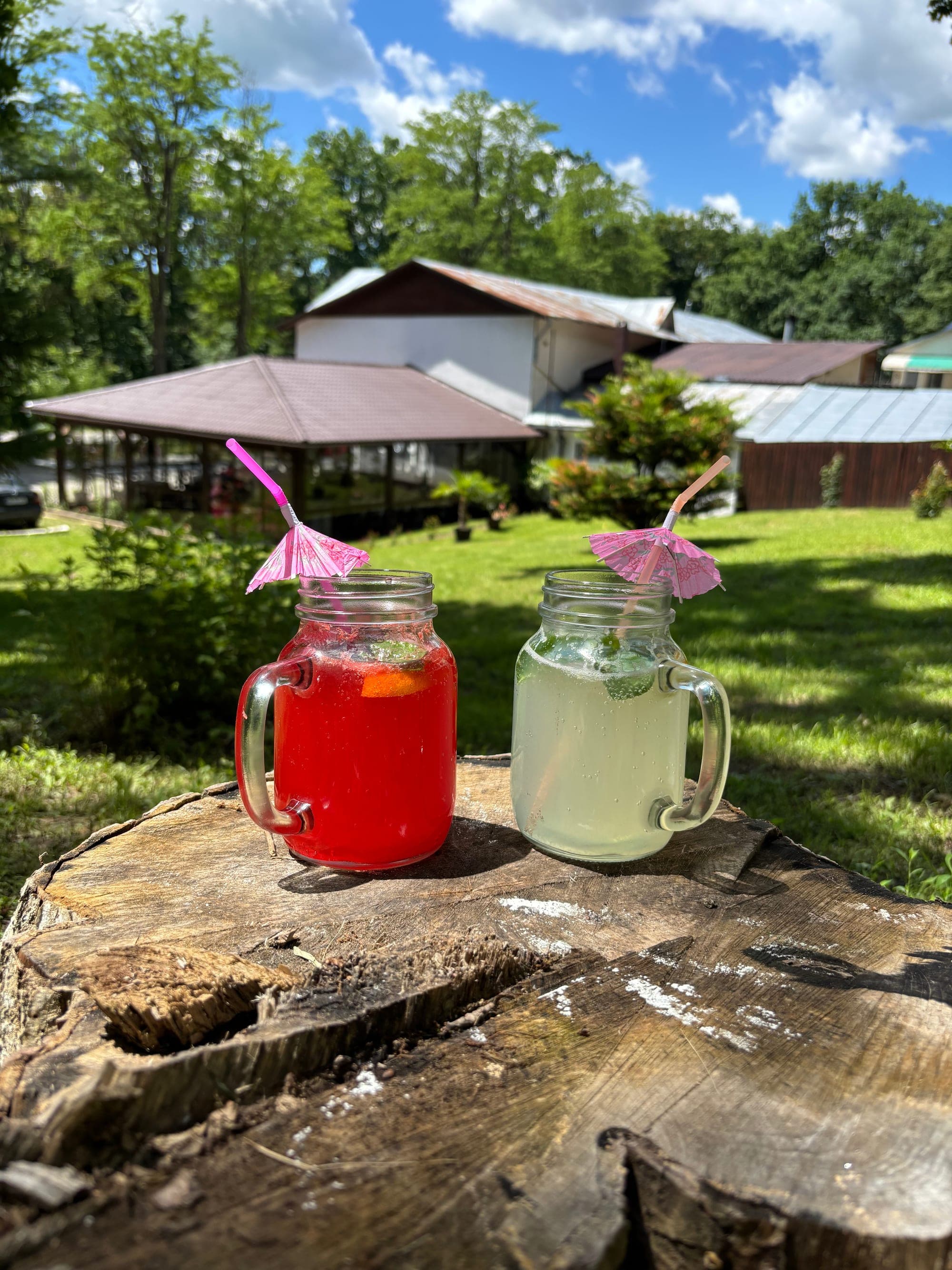 Limonadă de casă